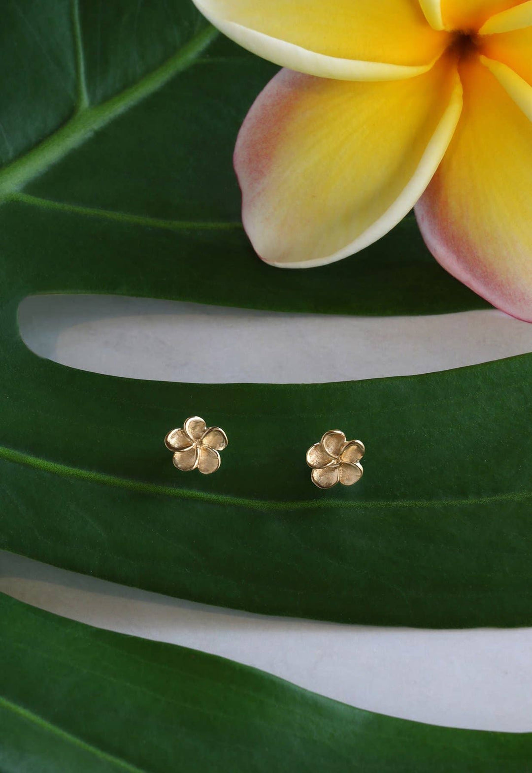 [KI•ELE] - Small Petal Plumeria Studs